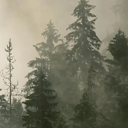 منزل ريفي Maison Souche *