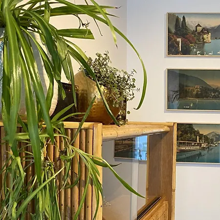 Maison Souche *