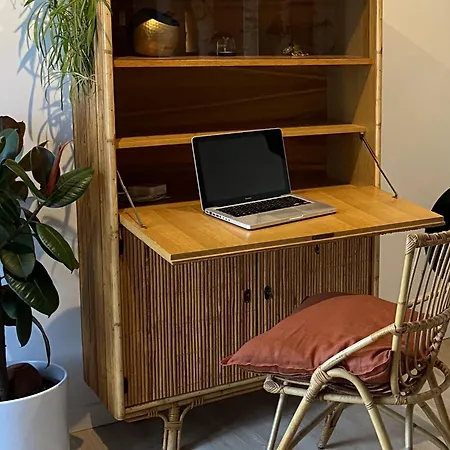 منزل ريفي Maison Souche *